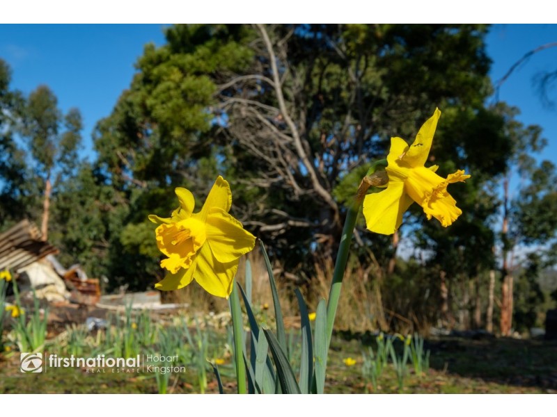 294 Sheepwash Road, Alonnah TAS 7150