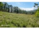 10 Cloudy Bay Road, Lunawanna TAS 7150