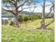 341 Lennon Road, North Bruny TAS 7150