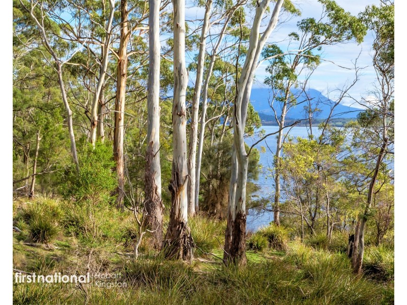 341 Lennon Road, North Bruny TAS 7150