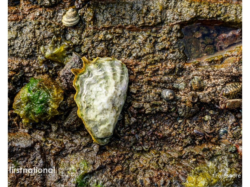 341 Lennon Road, North Bruny TAS 7150