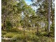341 Lennon Road, North Bruny TAS 7150