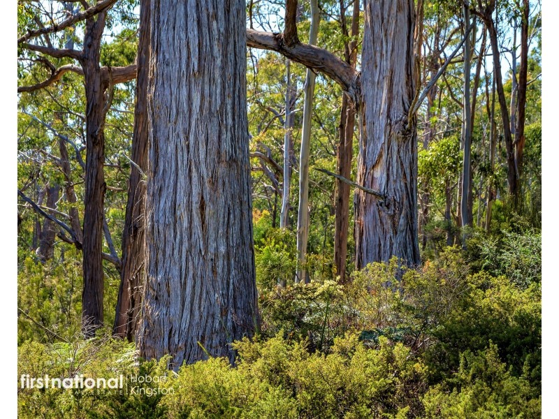 3614 Bruny Island Main Road, Alonnah TAS 7150