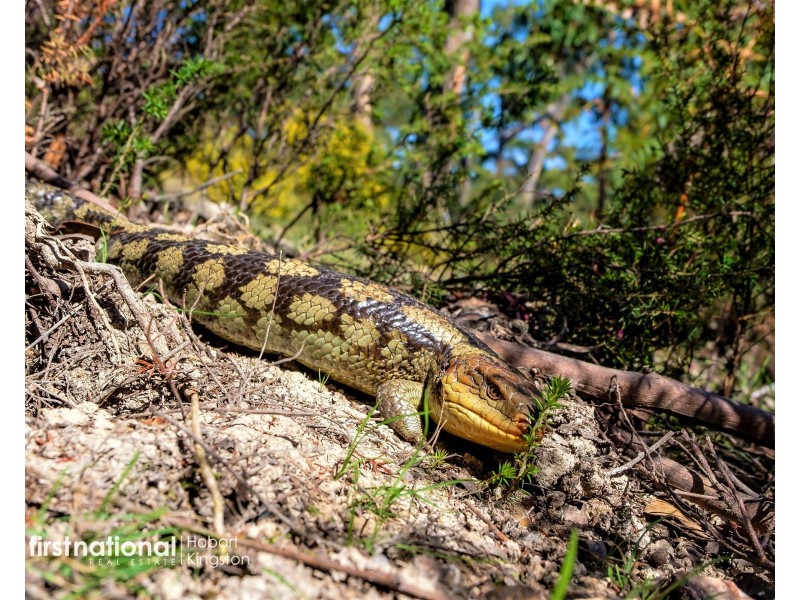 3614 Bruny Island Main Road, Alonnah TAS 7150
