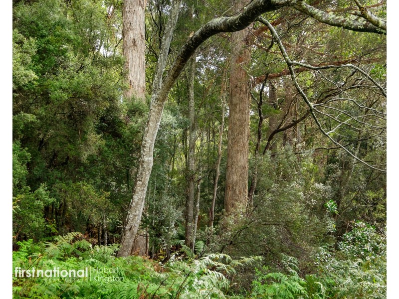 350 Resolution Road, Adventure Bay TAS 7150