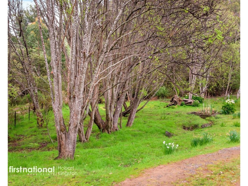 29 Lavender Lane, Dover TAS 7117