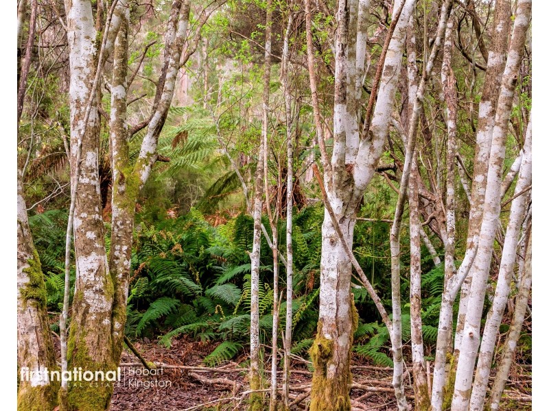 29 Lavender Lane, Dover TAS 7117