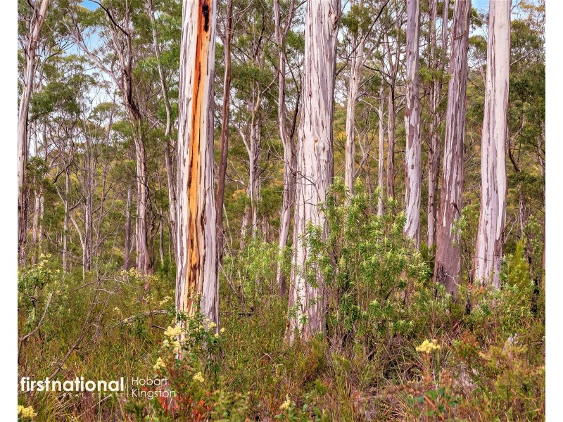 29 Lavender Lane, Dover TAS 7117