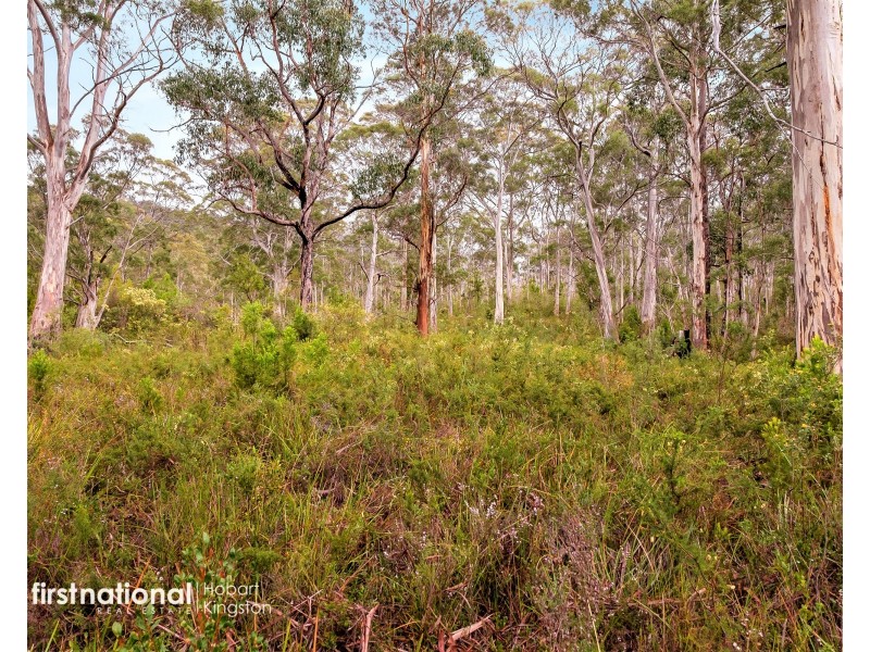 29 Lavender Lane, Dover TAS 7117