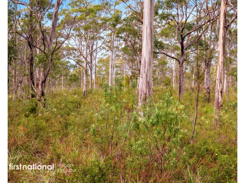 29 Lavender Lane, Dover TAS 7117