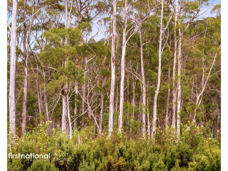 29 Lavender Lane, Dover TAS 7117