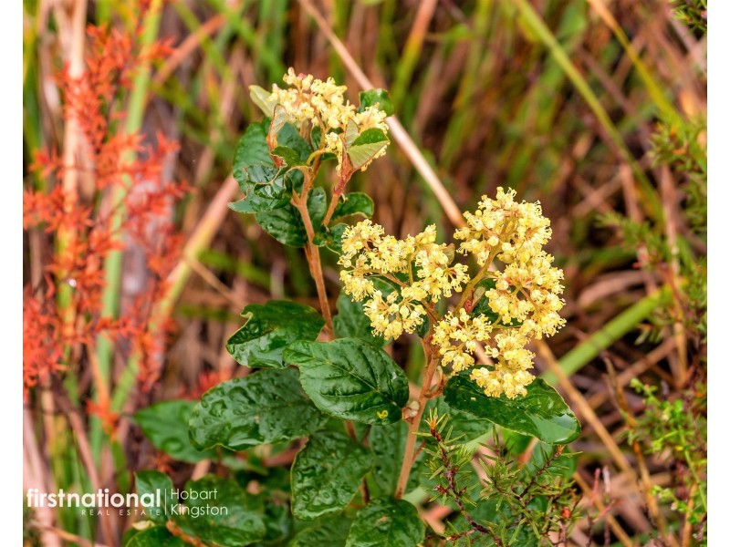 29 Lavender Lane, Dover TAS 7117