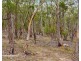 Lot 3 Apollo Bay Road, Apollo Bay TAS 7150