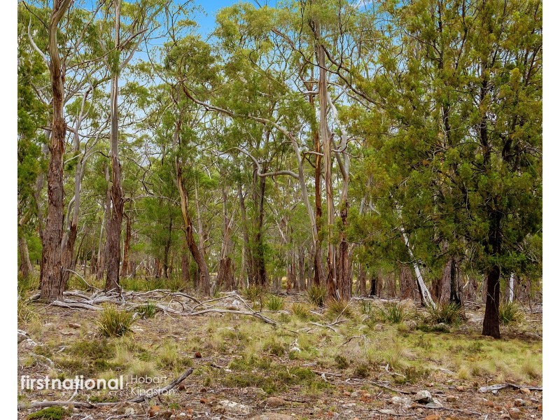 Lot 3 Apollo Bay Road, Apollo Bay TAS 7150