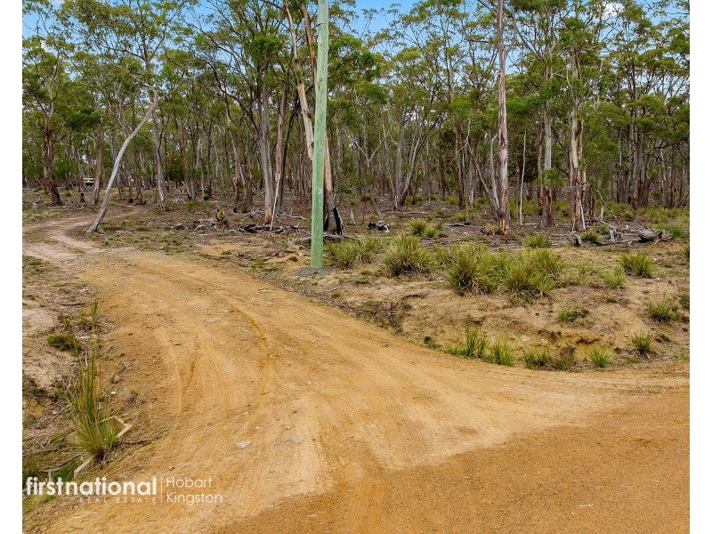 Lot 3 Apollo Bay Road, Apollo Bay TAS 7150