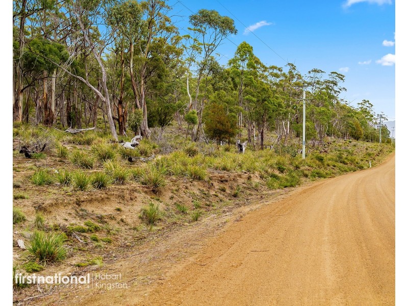 Lot 3 Apollo Bay Road, Apollo Bay TAS 7150