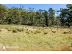 Lot 4, 10 Cloudy Bay Road, Lunawanna TAS 7150