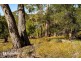 Lot 2, 239 Lennon Road, North Bruny TAS 7150