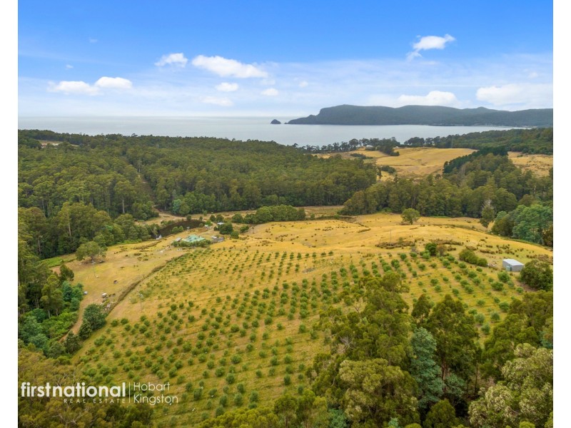 120 McPhersons Road, Adventure Bay TAS 7150