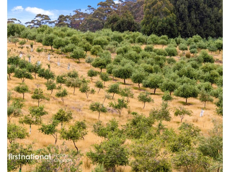 120 McPhersons Road, Adventure Bay TAS 7150