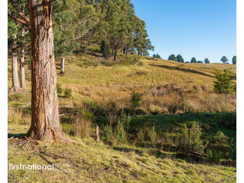 Lot 2 Rileys Creek Road, Geeveston TAS 7116