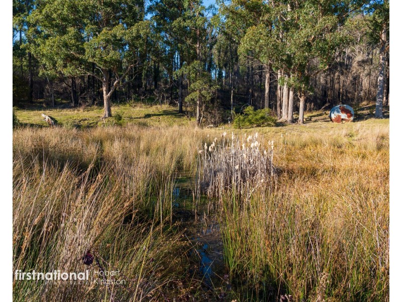 Lot 2 Rileys Creek Road, Geeveston TAS 7116