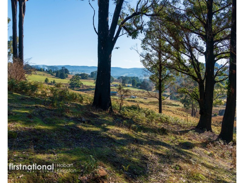Lot 2 Rileys Creek Road, Geeveston TAS 7116