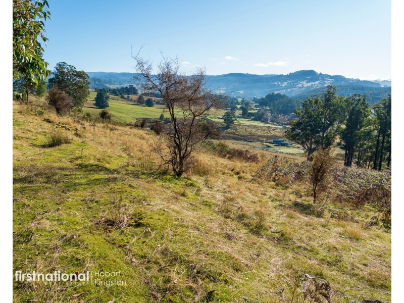 Lot 2 Rileys Creek Road, Geeveston TAS 7116