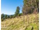 Lot 2 Rileys Creek Road, Geeveston TAS 7116