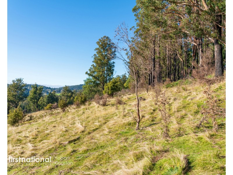 Lot 2 Rileys Creek Road, Geeveston TAS 7116