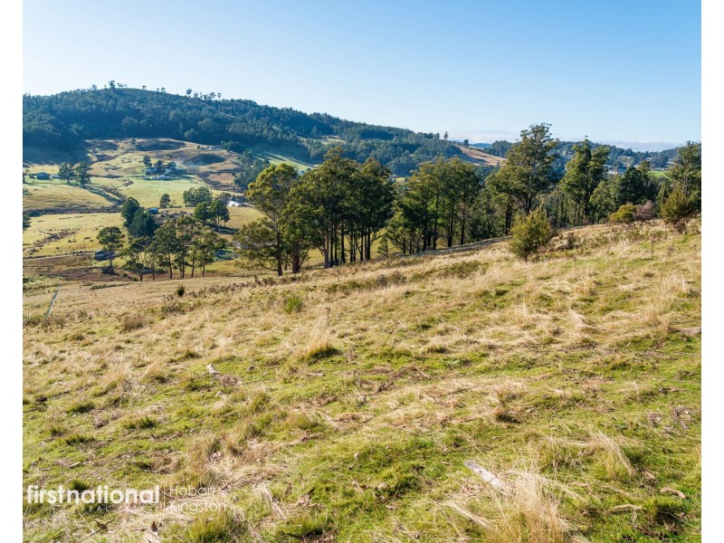 Lot 2 Rileys Creek Road, Geeveston TAS 7116