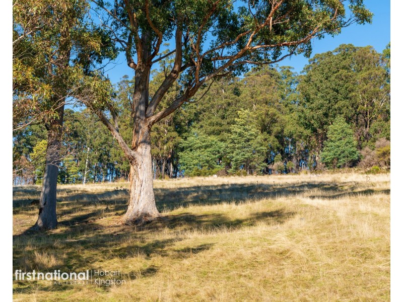 Lot 2 Rileys Creek Road, Geeveston TAS 7116