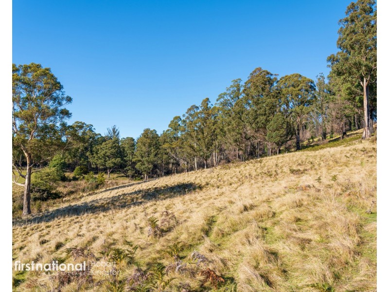 Lot 2 Rileys Creek Road, Geeveston TAS 7116