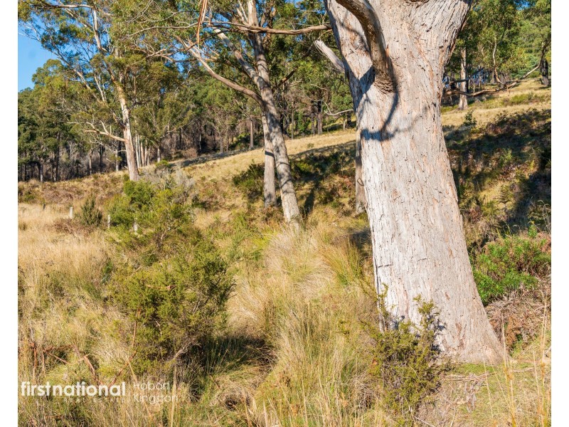 Lot 2 Rileys Creek Road, Geeveston TAS 7116