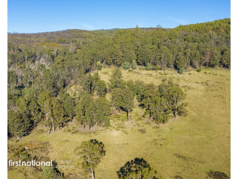 Lot 2 Rileys Creek Road, Geeveston TAS 7116