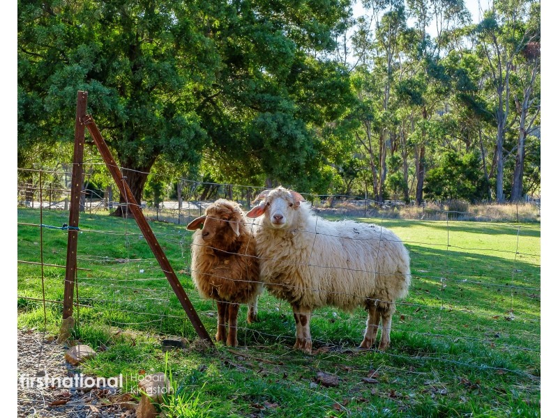 15 Jacinda Drive, Gardners Bay TAS 7112