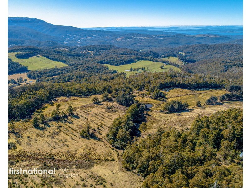 301 Halls Track Road, Sandfly TAS 7150