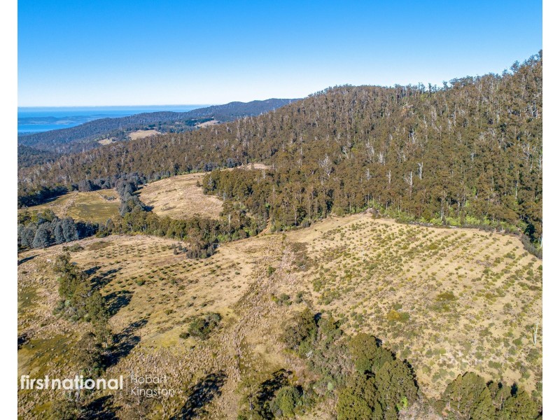 301 Halls Track Road, Sandfly TAS 7150