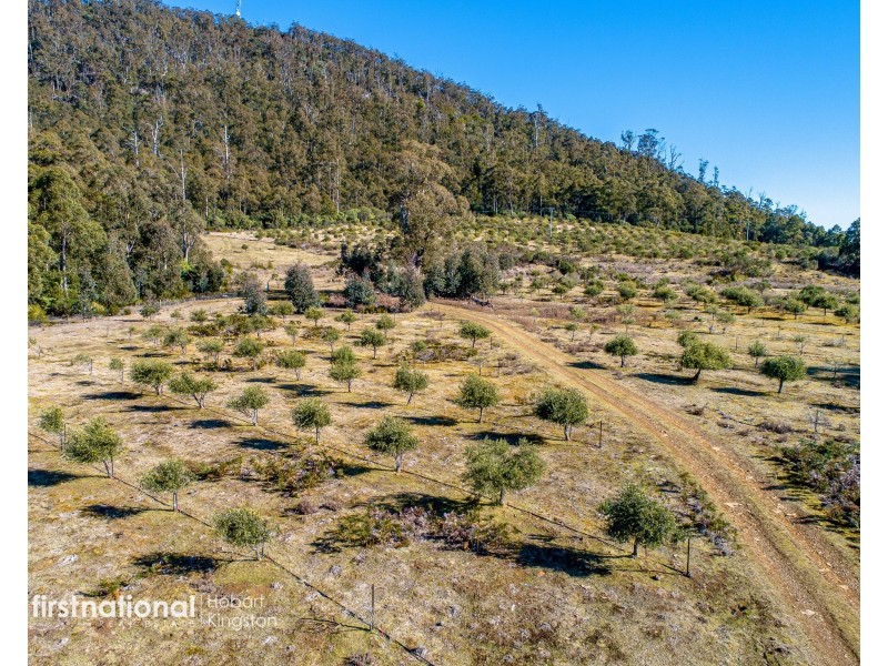 301 Halls Track Road, Sandfly TAS 7150