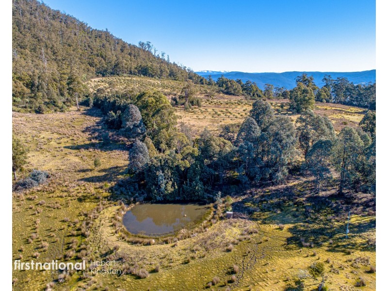 301 Halls Track Road, Sandfly TAS 7150