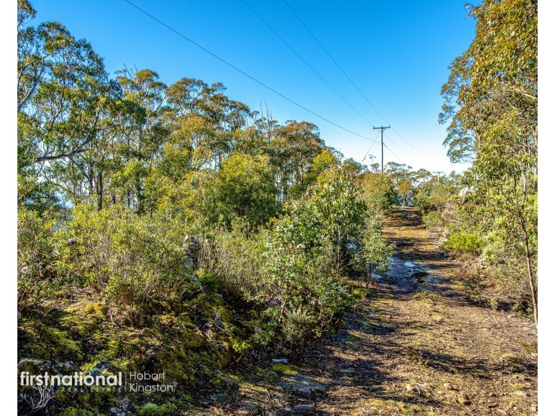 301 Halls Track Road, Sandfly TAS 7150