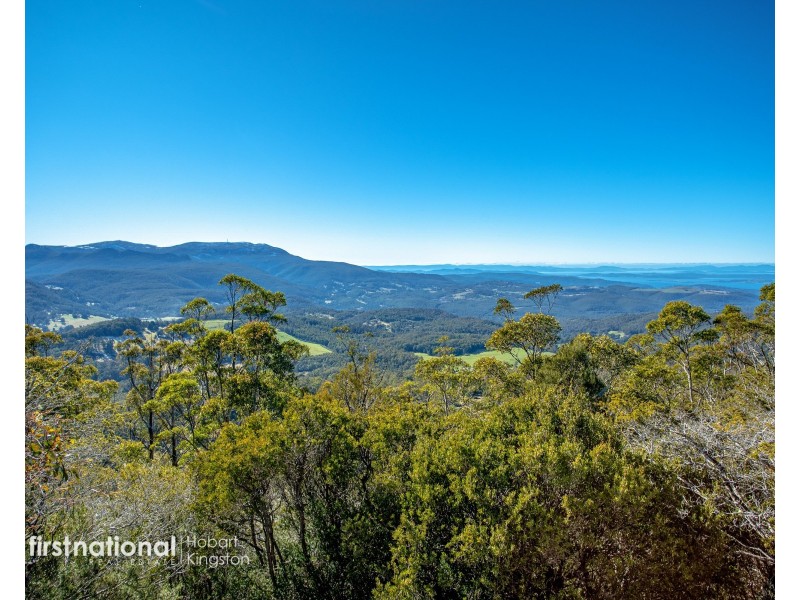 301 Halls Track Road, Sandfly TAS 7150