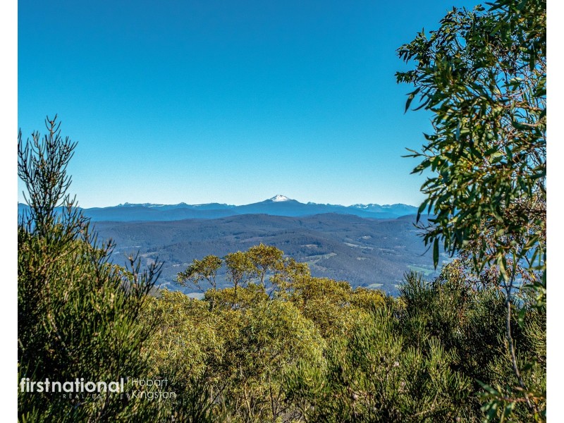 301 Halls Track Road, Sandfly TAS 7150