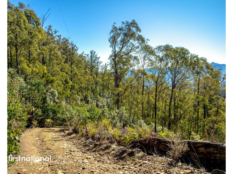 301 Halls Track Road, Sandfly TAS 7150
