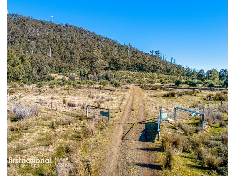 301 Halls Track Road, Sandfly TAS 7150