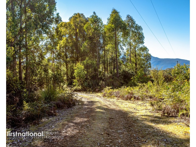 301 Halls Track Road, Sandfly TAS 7150