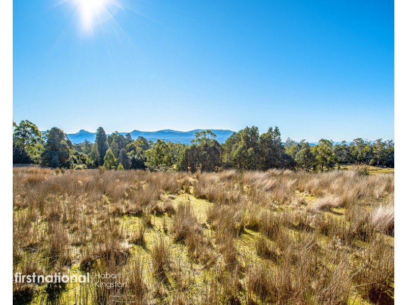 301 Halls Track Road, Sandfly TAS 7150