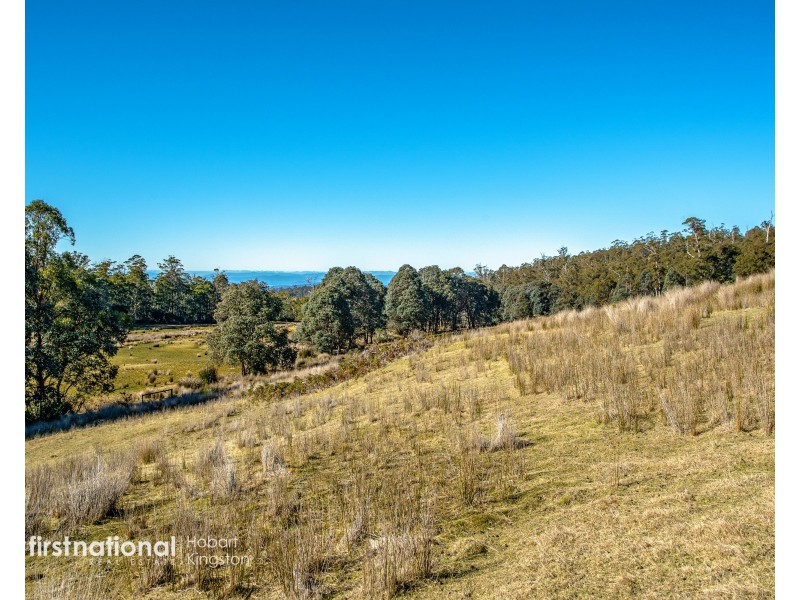 301 Halls Track Road, Sandfly TAS 7150