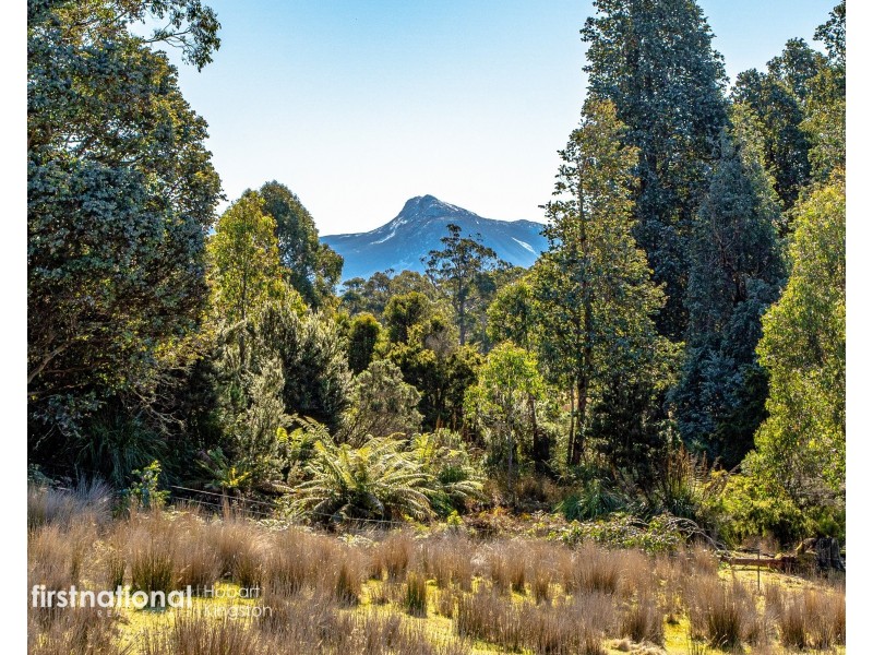 301 Halls Track Road, Sandfly TAS 7150