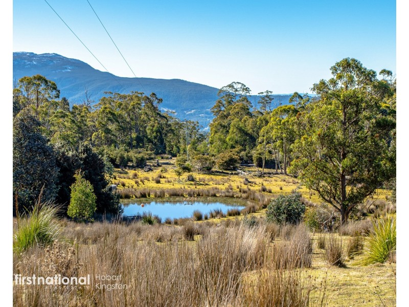 301 Halls Track Road, Sandfly TAS 7150